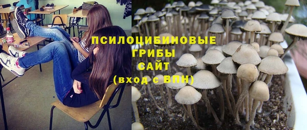 МДПВ Беломорск